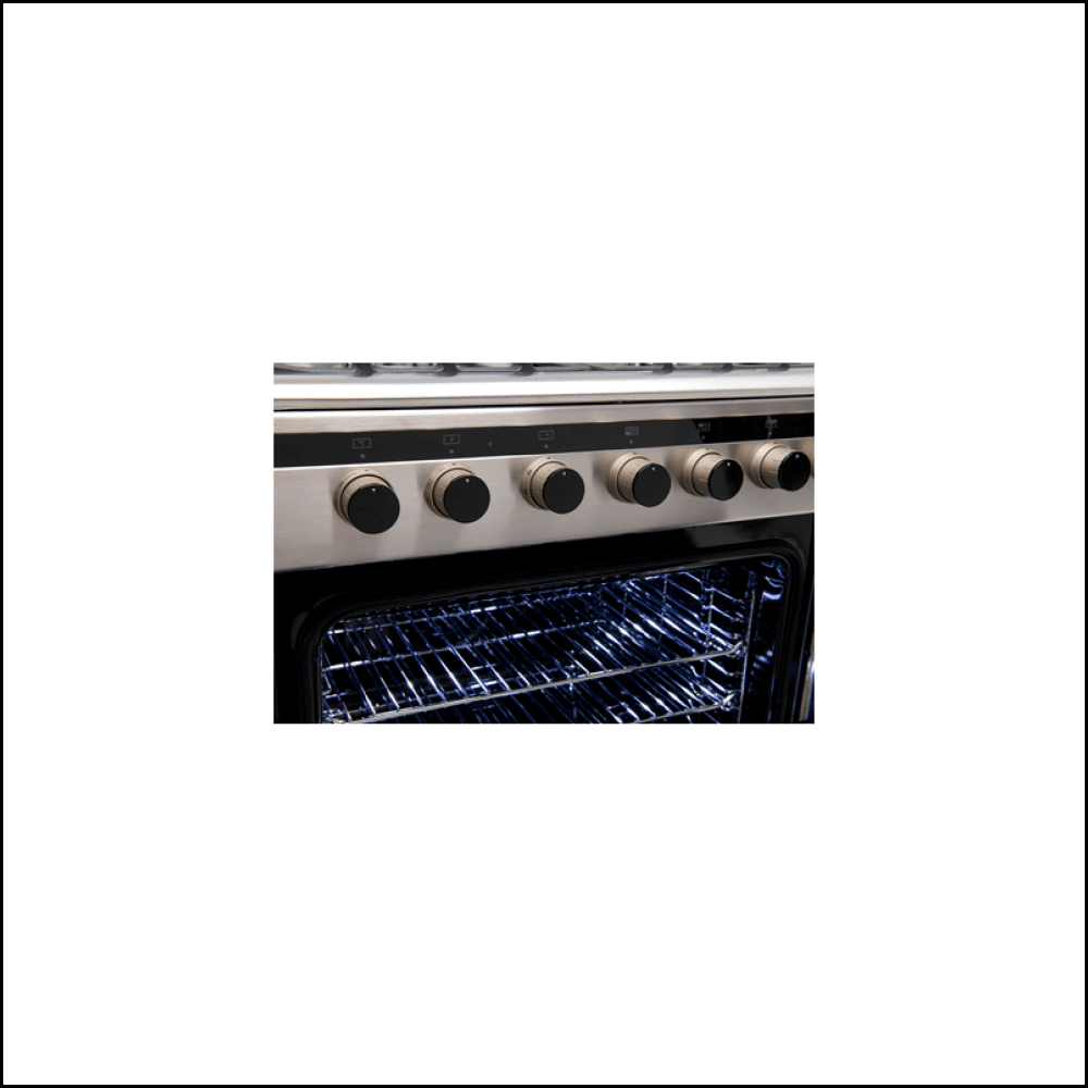 Four/cuisinière Euro Appliances EV600DFSX à double combustible, pose libre, 60 cm, en acier inoxydable